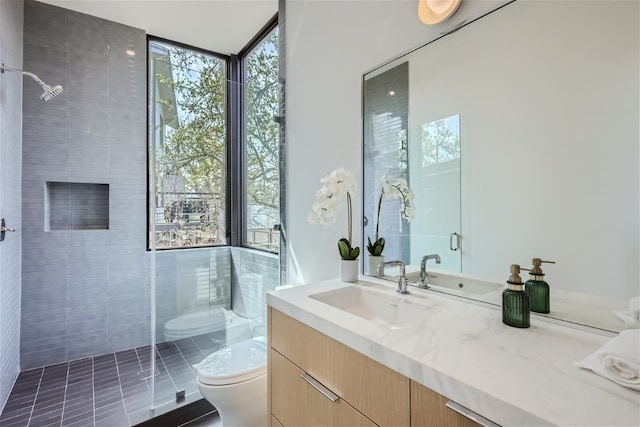 bathroom with a healthy amount of sunlight, a shower stall, toilet, and vanity