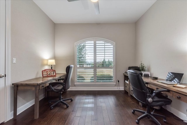 office space featuring ceiling fan, baseboards, and dark wood-style flooring