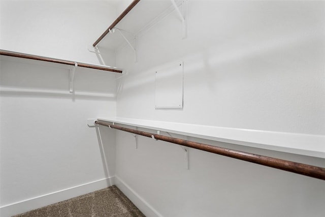 spacious closet with carpet