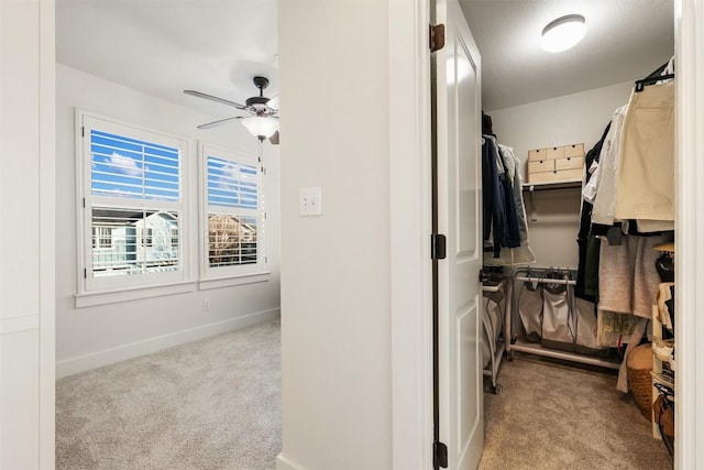 spacious closet featuring ceiling fan and carpet flooring