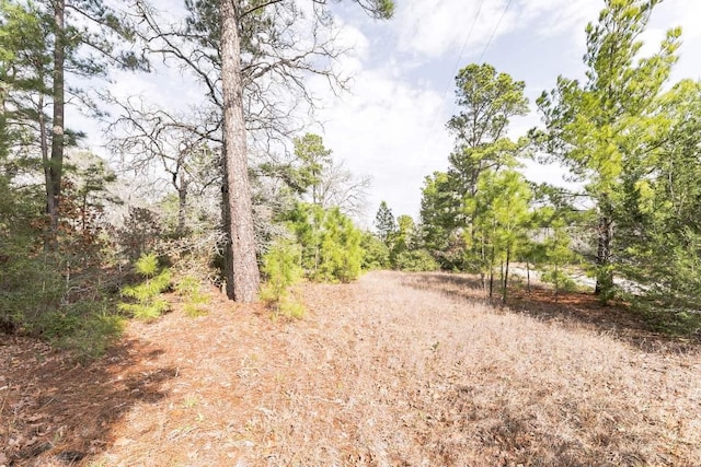 Listing photo 3 for 492 S Old Potato Rd, Paige TX 78659