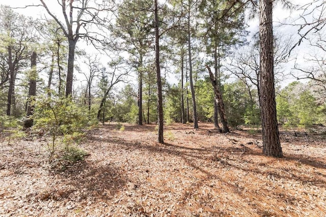 492 S Old Potato Rd, Paige TX, 78659 land for sale