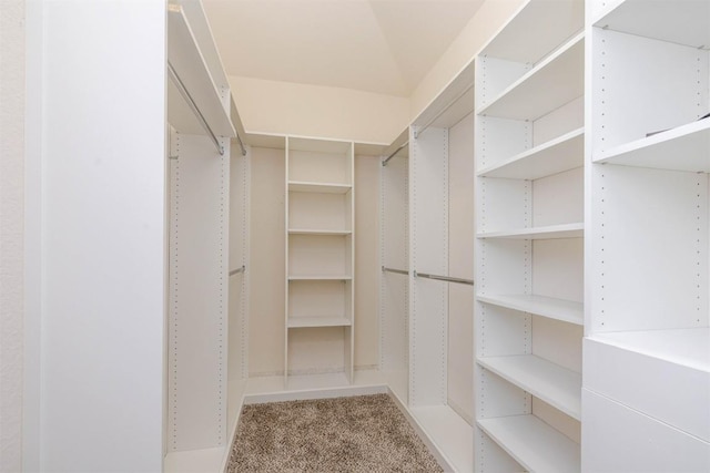 walk in closet with carpet flooring