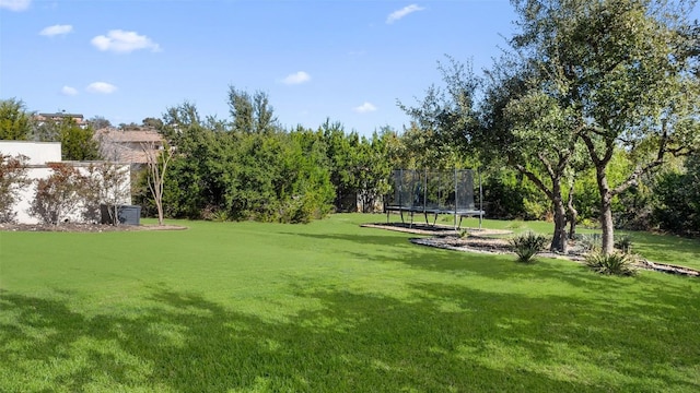 view of yard featuring a trampoline