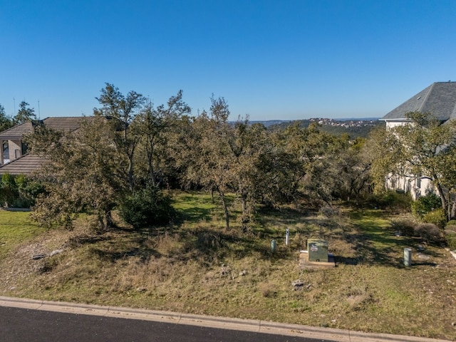 7111 Valburn Dr, Austin, TX 78731 - photo 10