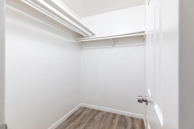 spacious closet featuring wood finished floors