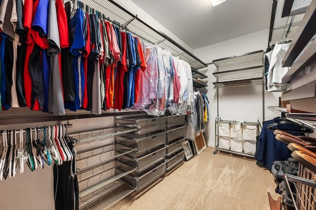 spacious closet featuring carpet floors