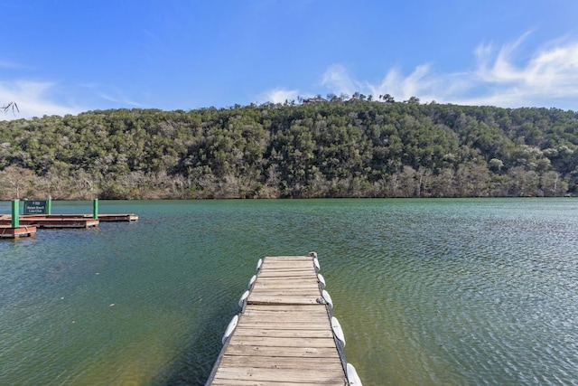 view of dock featuring a water view and a forest view