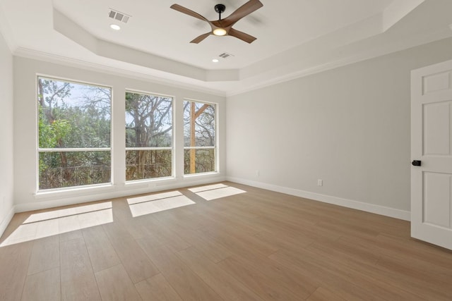 spare room featuring a tray ceiling, wood finished floors, and a healthy amount of sunlight