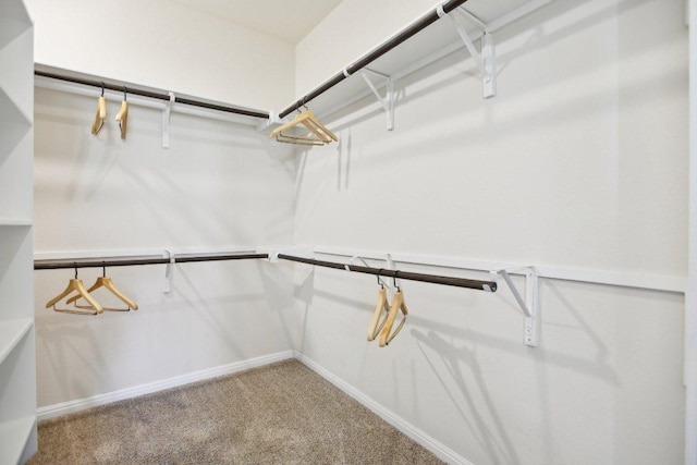 walk in closet featuring carpet flooring