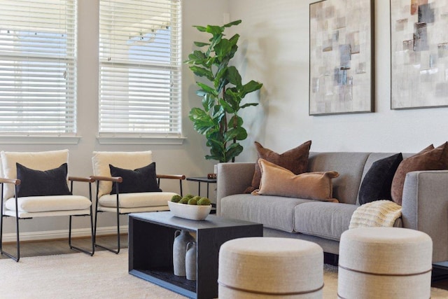 living room featuring baseboards