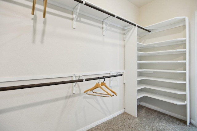 walk in closet featuring light carpet