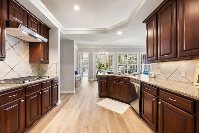 kitchen with under cabinet range hood, appliances with stainless steel finishes, ornamental molding, a tray ceiling, and light wood finished floors