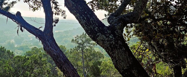 961 Buttercup Ln, Wimberley, TX 78676 - exterior view of a forest