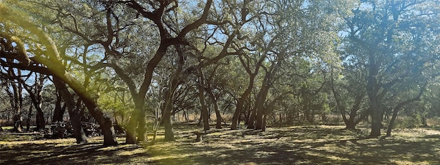 view of landscape