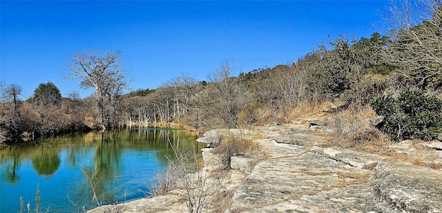 view of water feature with a wooded view