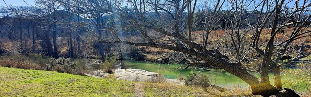 1101 Ridge Oak Dr, Wimberley, TX 78676 - photo 11