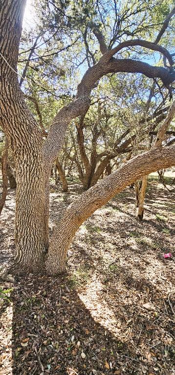 1101 Ridge Oak Dr, Wimberley, TX 78676 - photo 4