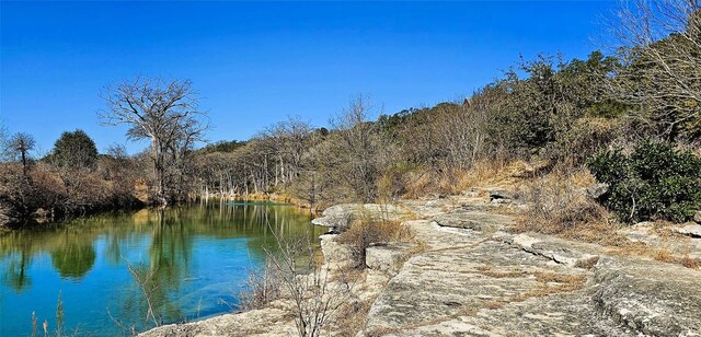 1101 Ridge Oak Dr, Wimberley, TX 78676 - photo 9