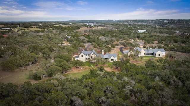 12120 Fitzhugh Pl, Dripping Springs, TX 78620 - view of property location with a heavily wooded area