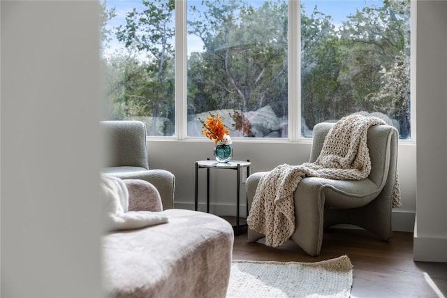12120 Fitzhugh Pl, Dripping Springs, TX 78620 - living area featuring plenty of natural light and wood finished floors