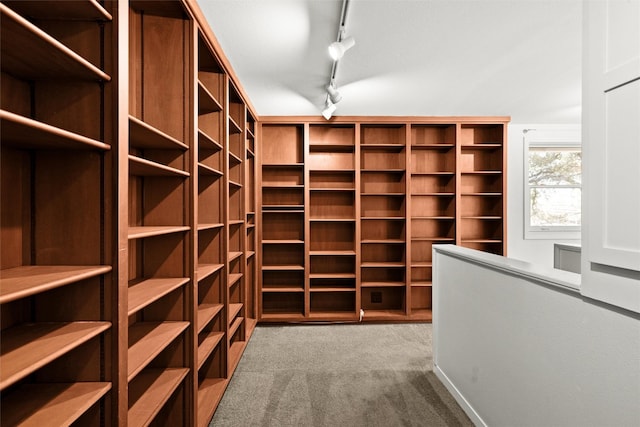 spacious closet with carpet