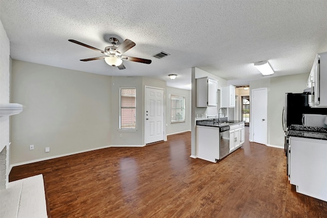 1807 Hollow Tree Blvd, Round Rock, TX 78681 - kitchen featuring stainless steel dishwasher, a ceiling fan, dark countertops, dark wood finished floors, and a textured ceiling