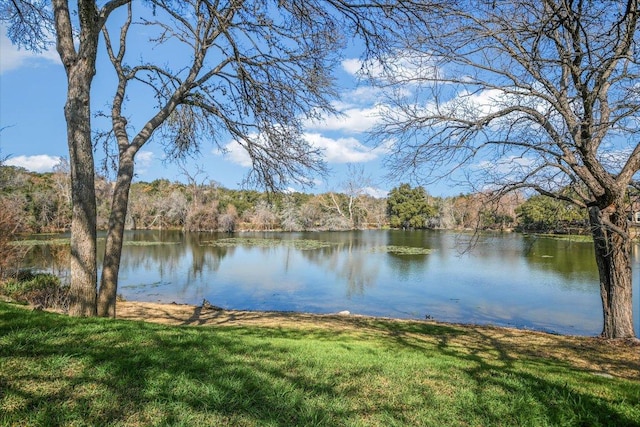 property view of water featuring a view of trees