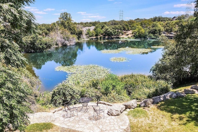 view of water feature