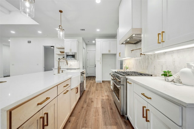 360 Judy Dr, Dripping Springs, TX 78620 - kitchen with recessed lighting, stainless steel appliances, light wood finished floors, and a sink