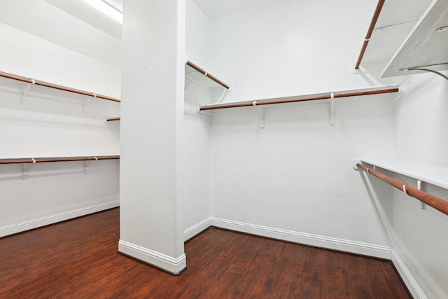 walk in closet with wood finished floors