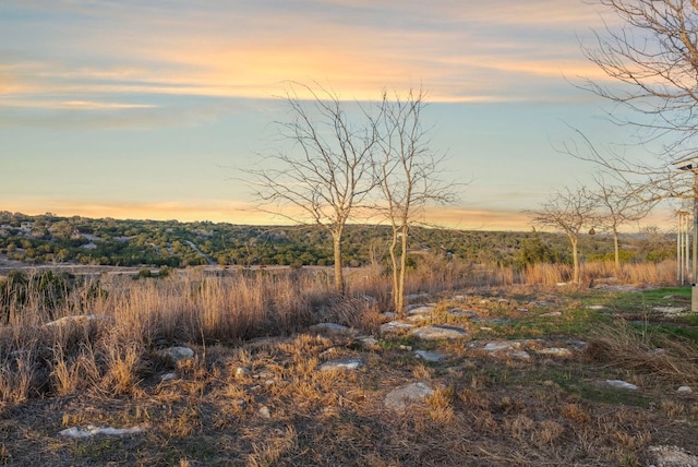 view of nature at dusk