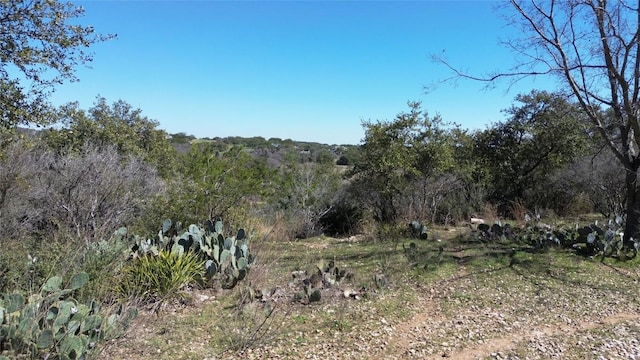 view of nature