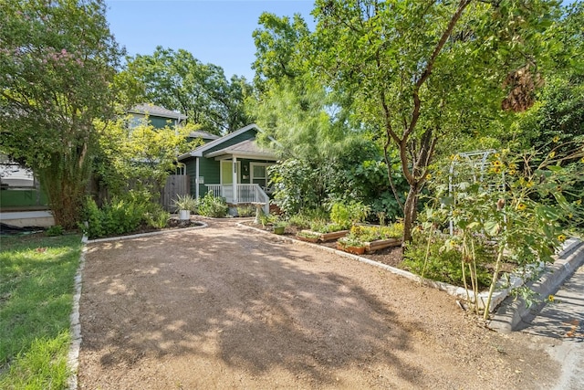 view of front of property with covered porch, a vegetable garden, and dirt driveway