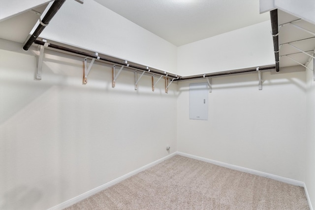 spacious closet with carpet floors