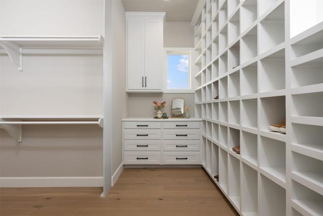 walk in closet with light wood-type flooring