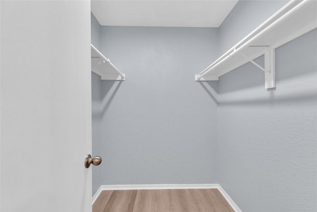 walk in closet with wood finished floors