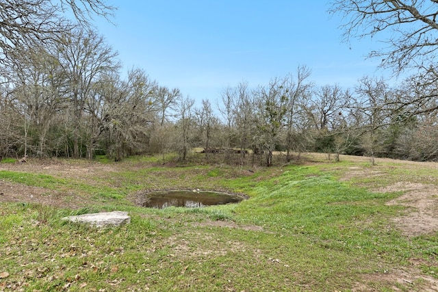 2232 Tumbleweed Trl, Dale, TX 78616 - photo 26