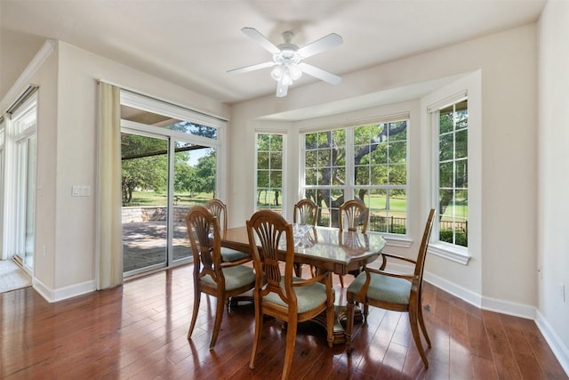 217 Dove Hollow Trl, Georgetown, TX 78633 - photo 12
