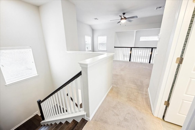 10204 Jacksboro Trl, Austin, TX 78717 - corridor with light colored carpet and an upstairs landing