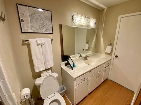 bathroom featuring toilet, wood finished floors, and vanity