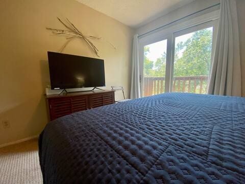 carpeted bedroom with access to outside and baseboards