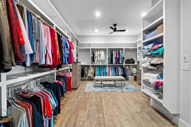 2923 Cliff Pt, Spicewood, TX 78669 - spacious closet featuring attic access and wood finished floors