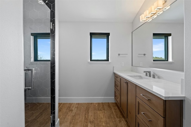 2923 Cliff Pt, Spicewood, TX 78669 - bathroom featuring vanity, plenty of natural light, wood finished floors, and a shower stall