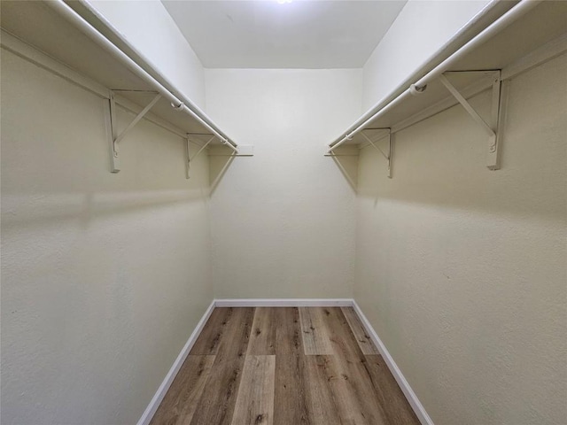 spacious closet featuring wood finished floors