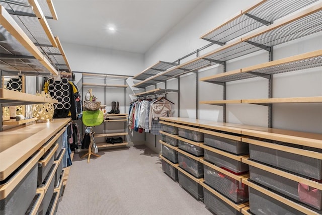 2201 Bel Paese Bnd, Leander, TX 78641 - view of storage room