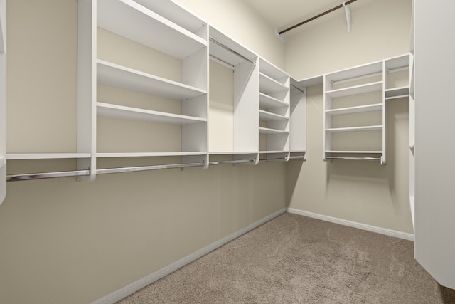 224 Tavish Trl, Austin, TX 78738 - spacious closet featuring carpet