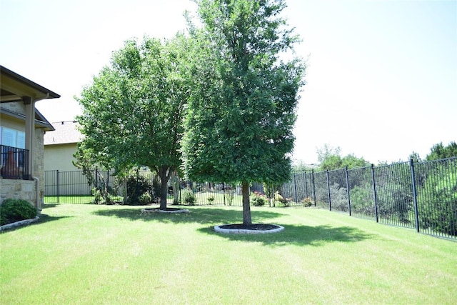 224 Tavish Trl, Austin, TX 78738 - view of yard