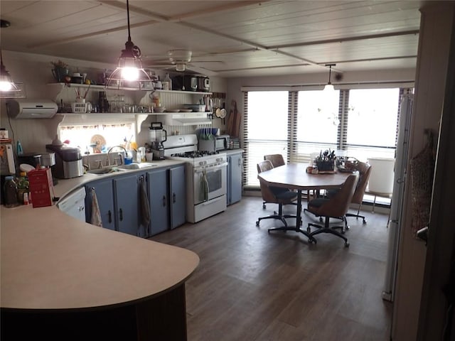 kitchen featuring blue cabinetry, open shelves, a sink, wood finished floors, and white appliances