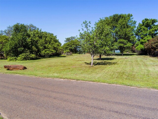 156 Riverwalk Ln, Bastrop, TX 78602 - photo 15